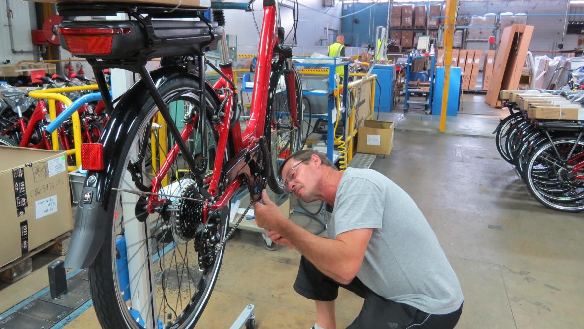 Velo cycleurope sales
